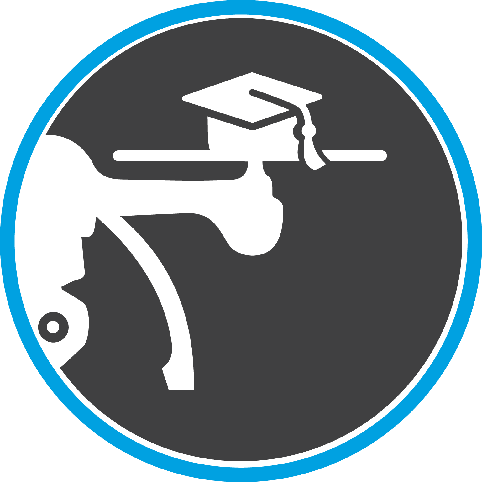 Image of Basic Flight Badge
