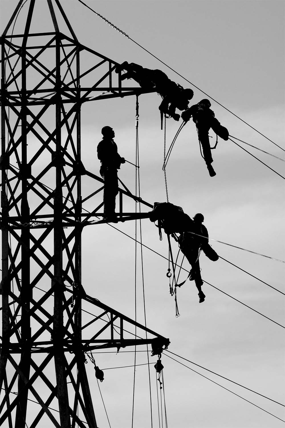 Image of powerline workers